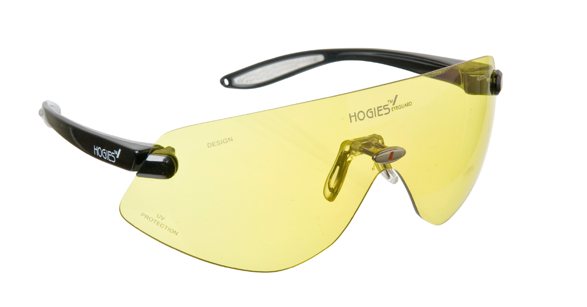 EyeGuard Tinted Patient Protection Glasses | Adult Size | Certified Dental Safety Glasses