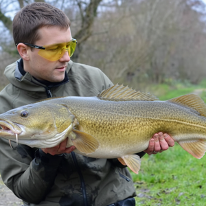 fishing glasses yellow tint